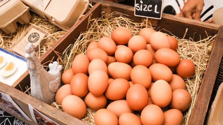 ไข่ไก่ Be indy ของดีจากจังหวัดสุพรรณบุรี ปลอดสารเคมีเพื่อคนรักสุขภาพ