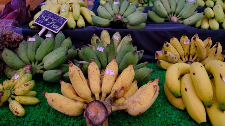 ไร่ชมถนอม กล้วยอินทรีย์ ของดีจากจังหวัดนครปฐม ปลอดสารตกค้าง 100 %