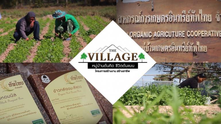 The Village หมู่บ้านต้นคิด ชีวิตต้นแบบ โครงการสร้างงาน สร้างอาชีพชุมชนทัพไทย จังหวัดสุรินทร์ ต้นแบบการทำเกษตรอินทรีย์และปศุสัตว์แบบครบวงจร