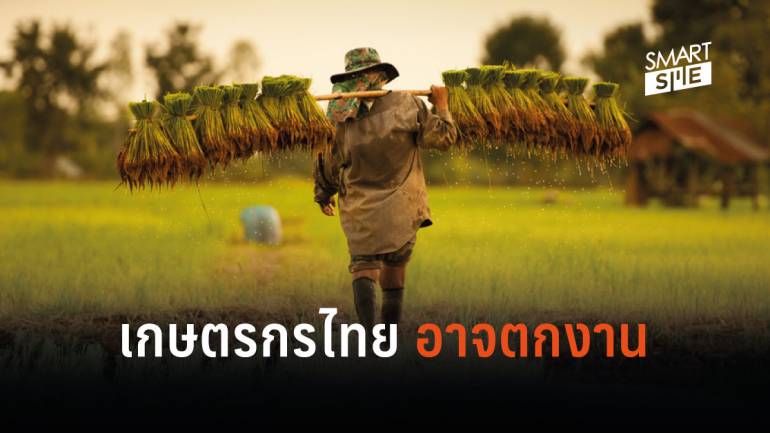 10 อุตสาหกรรมอาเซียนเสี่ยง ‘เอไอแย่งงาน’ เกษตรกรไทยอ่วมสุด