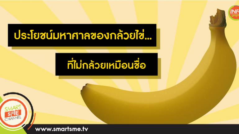 ประโยชน์มหาศาลของกล้วยไข่...ที่ไม่กล้วยเหมือนชื่อ