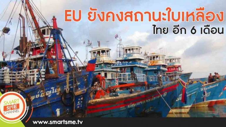 EU ยังคงสถานะใบเหลืองไทย อีก 6 เดือน