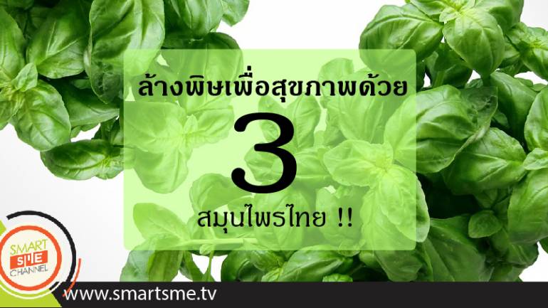 ล้างพิษเพื่อสุขภาพด้วย 3 สมุนไพรไทย !!