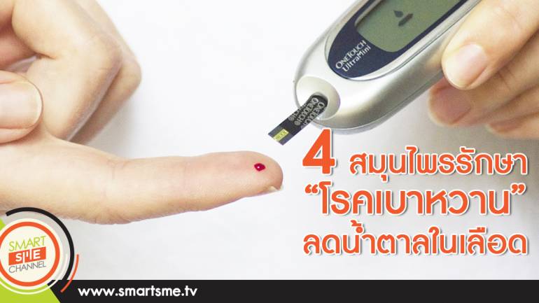 4 สมุนไพรรักษา “ โรคเบาหวาน” ลดน้ำตาลในเลือด