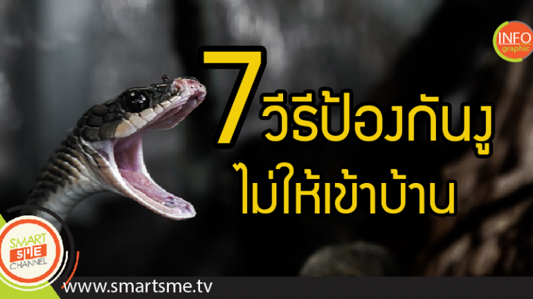 7 วิธีป้องกันงูไม่ให้เข้าบ้าน