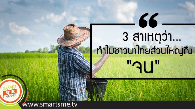3 สาเหตุว่า...ทำไมชาวนาไทยส่วนใหญ่ถึง 