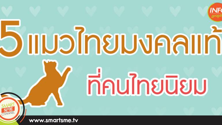 5 แมวไทยมงคลแท้ ที่คนไทยนิยม