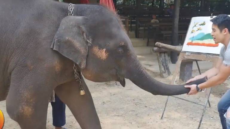 We Love Thailand  ชวนคุณอาบน้ำช้างอย่างใกล้ชิดพร้อมสัมผัสความน่ารักที่ปางช้างแม่สา  จ.เชียงใหม่