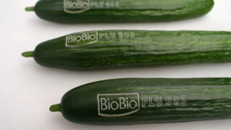 “เลเซอร์โลโก้บนผักไบโอ” ไอเดียแห่งอนาคตช่วยลดขยะพลาสติก