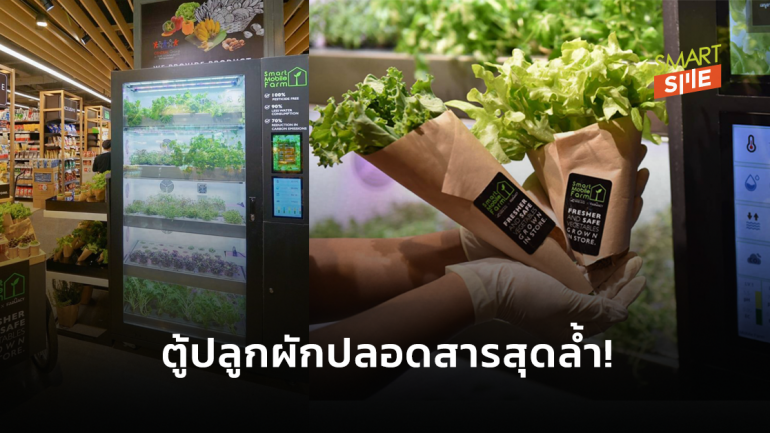 ครั้งแรกในไทย!  “Smart Mobile Farm” ตู้ปลูกผักปลอดสาร ตอบโจทย์เทรนด์สุขภาพและสิ่งแวดล้อม