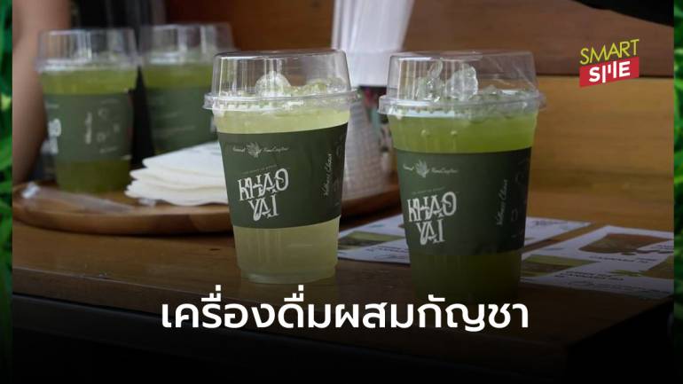 Class Café เปิดตัวแบรนด์ Khaoyai Calm เครื่องดื่มผสมกัญชา กระตุ้นเศรษฐกิจโคราช