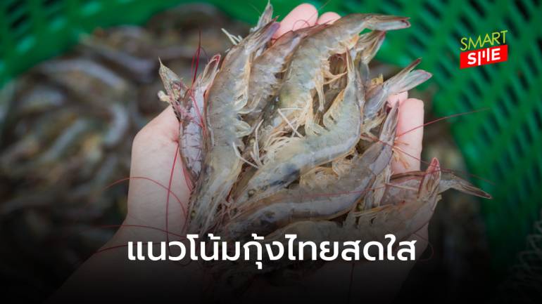 สมาคมกุ้งไทย คาด! ปี 64 ผลผลิต-ส่งออกกุ้งไทยเติบโตได้ 15% 