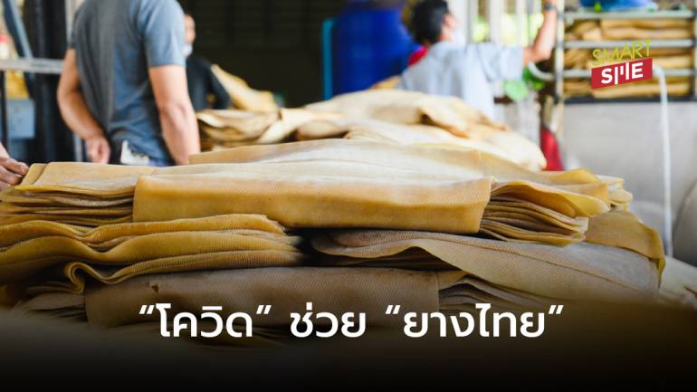 อานิสงส์โควิด! ดัน “ยางไทย” ราคาพุ่ง เหตุทั่วโลกต้องการใช้ “ถุงมือยาง”
