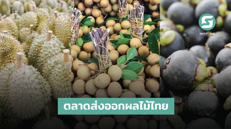 ผลไม้ไทย “ทุเรียน-ลำไย-มังคุด” ส่งออกไปประเทศไหนมากที่สุด