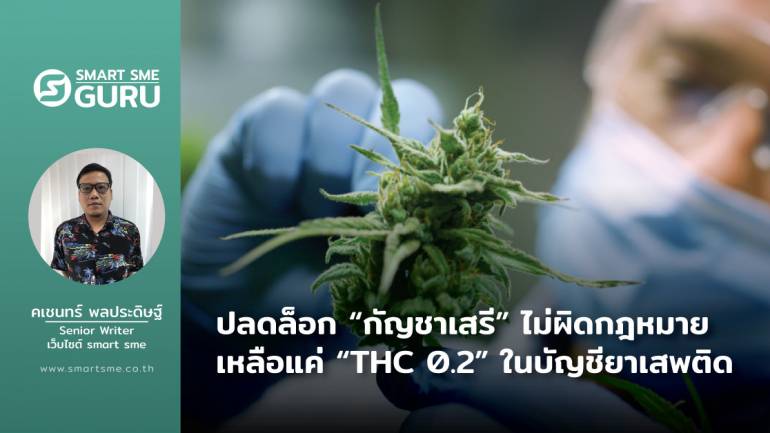 ปลดล็อก “กัญชาเสรี” ไม่ผิดกฎหมาย เหลือแค่ “THC 0.2” ในบัญชียาเสพติด 