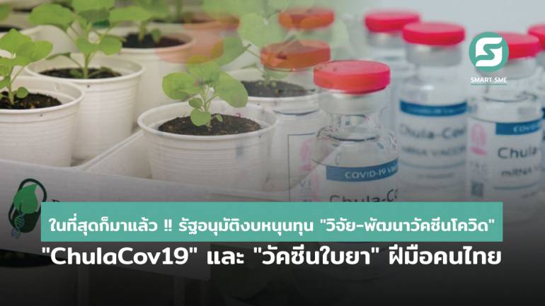 ในที่สุดก็มาแล้ว รัฐอนุมัติงบสนับสนุนวิจัยพัฒนาวัคซีนโควิด ChulaCov19 และ วัคซีนใบยา โดยคนไทย เพื่อคนไทย 