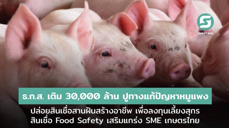 ธ.ก.ส. ปูทางแก้ปัญหาหมูแพง อัดเงิน 30,000 ล้าน หนุนการเลี้ยงสุกรและเพิ่มผลผลิตอาหารสัตว์ ด้วย 3 สินเชื่อพิเศษเพื่อเกษตรกรไทย