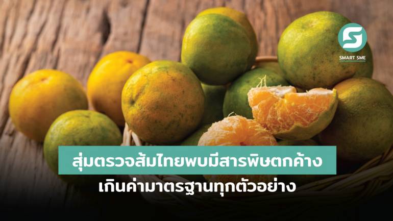 สุ่มตรวจส้มไทยพบมีสารพิษตกค้างเกินค่ามาตรฐานทุกตัวอย่าง
