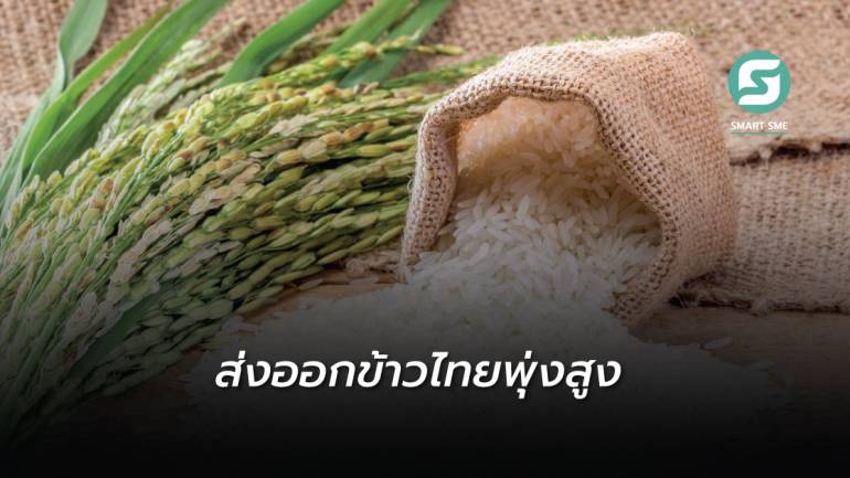 ข้าวไทยแรงไม่หยุด ส่งออกครึ่งปีแรก 65 ทะลุกว่า 70,000 ล้านบาท เพิ่มขึ้นจากปีก่อน 58%