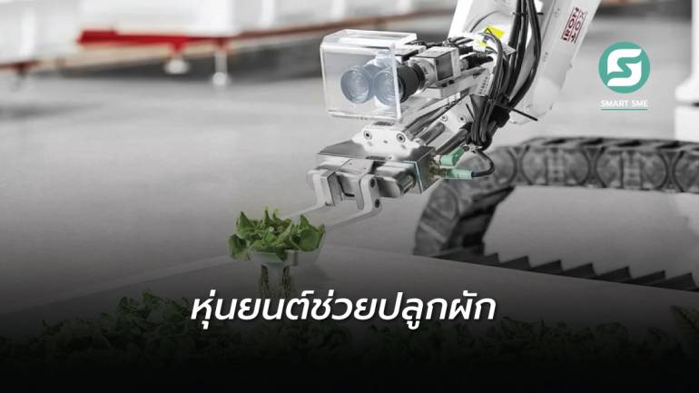 สตาร์ทอัพสหรัฐฯ สร้างหุ่นยนต์ช่วยปลูกผัก ลดขั้นตอนที่ใช้คน แถมช่วยประหยัดน้ำ