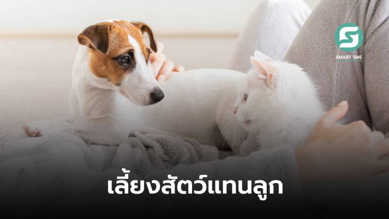 คนไทยร้อยละ 49 นิยมเลี้ยงสัตว์แทนลูก เสียค่าใช้จ่ายต่อปีเกิน 10,000 บาท