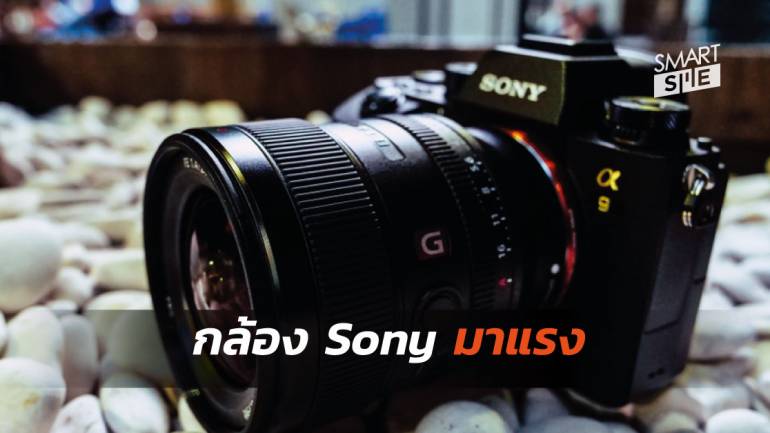 Sony เบียด Nikon ขึ้นมาเป็นเบอร์ 2 ของยอดขายกล้องดิจิทัล 