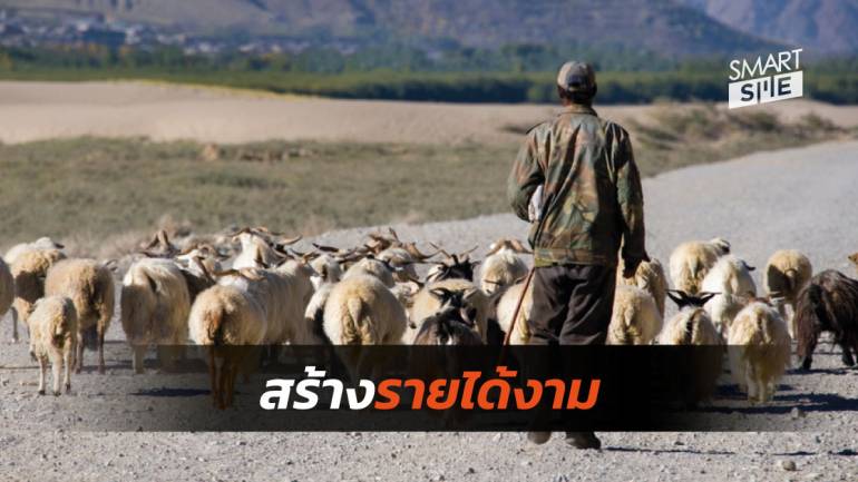 ใครจะไปคิด! ท่องเที่ยวบูมทำให้เกษตรกร-คนเลี้ยงสัตว์ในทิเบตมีรายเฉลี่ยต่อหัว 34,655 บาท