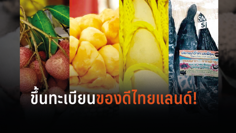 “พาณิชย์” ขึ้นทะเบียน GI 4 สินค้าไทย “จำปาดะ มะม่วงน้ำดอกไม้ ปลาดุกร้า ลิ้นจี่แม่ใจ”