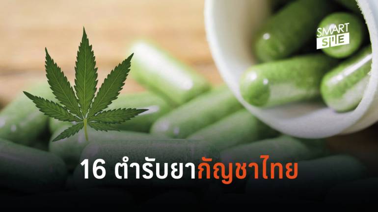 16 ตำรับยากัญชาไทยเป็นส่วนผสม แก้โรคอะไรบ้าง