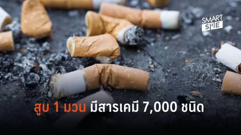 เตือนสิงห์อมควัน เลิกบุหรี่ ชี้มีสารเคมีกว่า 7,000 ชนิด 
