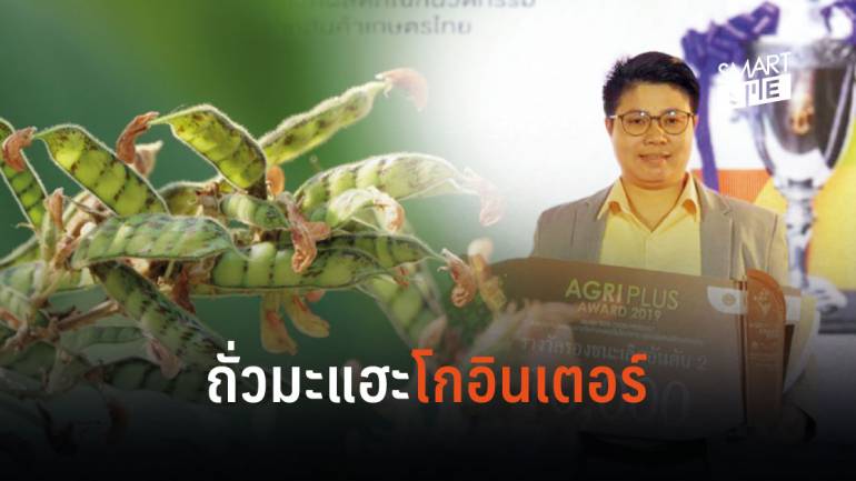เพปไทด์ถั่วมะแฮะ สารสกัดมีฤทธิ์เปลี่ยนร่องรอยความเสื่อมโทรมให้เกษตรกรไทย