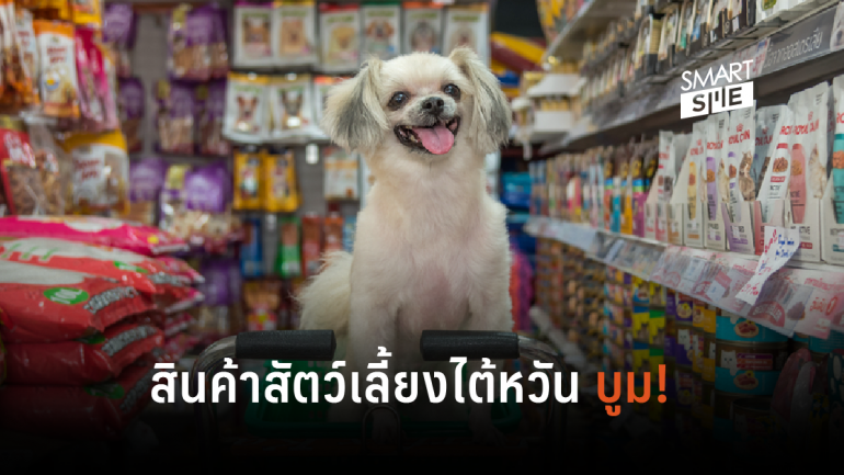 ตลาดสัตว์เลี้ยงไต้หวัน โอกาสใหม่ของการตีตลาดของผู้ประกอบการไทย