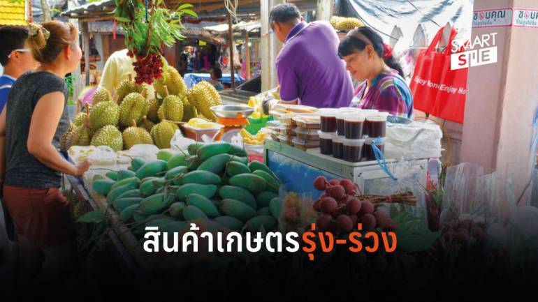 ส่อง! สินค้าเกษตรส่งออกไทยตัวไหนรุ่ง-ร่วง ในเดือนสิงหาคม 2562