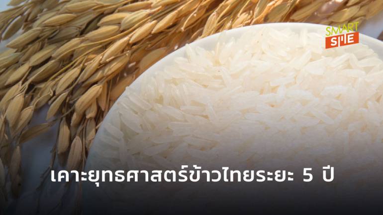 เผยยุทธศาสตร์ข้าวไทยในระยะเวลา 5 ปี ใช้ตลาดนำการผลิตเน้นปลูกข้าว 7 ชนิด