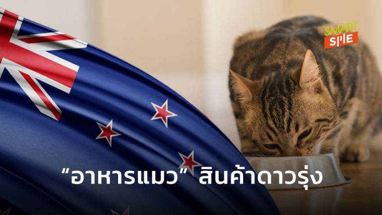 “อาหารแมว” กลายเป็นสินค้าที่มีโอกาสเติบโตสูงในตลาดนิวซีแลนด์หลังโควิด-19