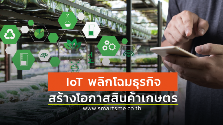 เทคโนโลยี IoT พลิกโฉมธุรกิจเกษตร สร้างโอกาสช่วงชิงตลาดสินค้าเกษตรไทย