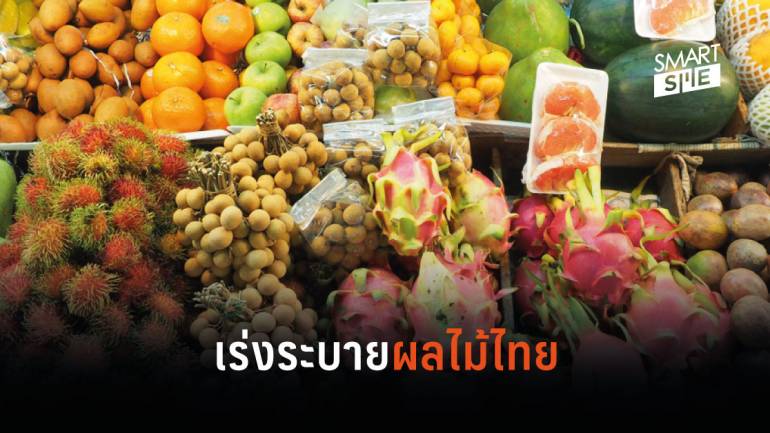 ช่วยชาวสวน-ล้ง-ผู้ส่งออก เปิด 6 มาตรการระบายผลไม้ไทย หลังเจอโคโรนาทำพิษ