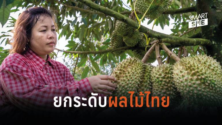 “กรมการค้าภายใน” วาง 9 มาตรการเชิงรุก ตั้งเป้าเป็นปีทองผลไม้ไทย