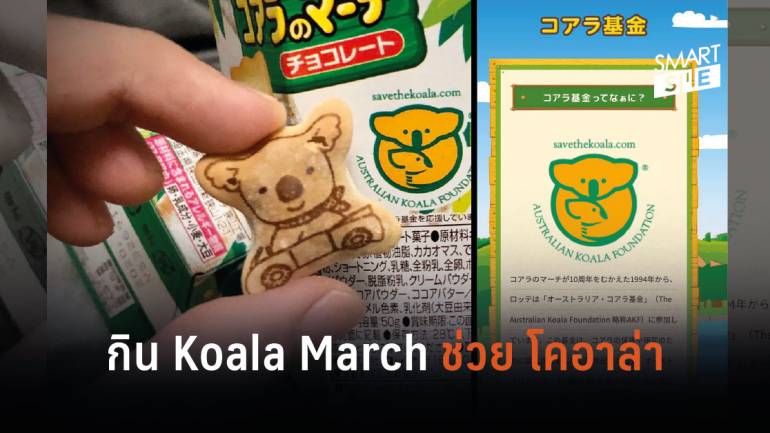 รู้ไหม? สัญลักษณ์เล็ก ๆ  บนกล่อง Koala March คือโครงการสนับสนุนมูลนิธิ 