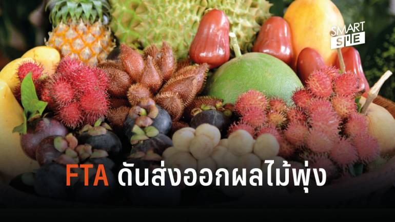 FTA อานิสงส์แรง หนุนส่งออกผลไม้ไทย ยึดตลาดอาเซียน-จีน