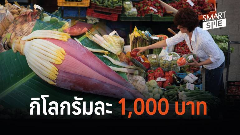 ต่างแดนฮิต หัวปลีไทย ขาดตลาด ให้ราคาสูงกิโลละกว่า 1 พันบาท